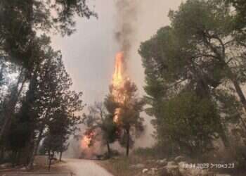 שוטרת מג"ב ו-3 כבאים נפגעו משאיפת עשן, כביש 6 נפתח לתנועה