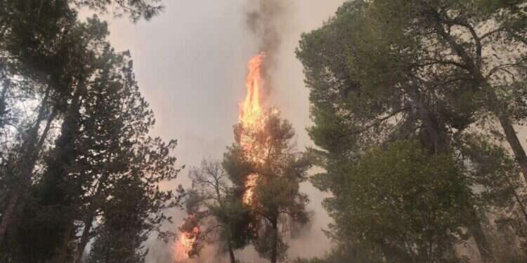 השריפה בהרי ירושלים. צילום: עובדי ויערני קק שוטרת מג"ב ו-3 כבאים נפגעו משאיפת עשן, כביש 6 נפתח לתנועה