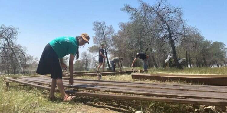 לזכר חללי המלחמה: מעיין חדש נבנה בדרום הר חברון