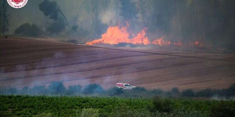 כיבוי אש נלחמים בשריפות באזור מודיעין. קרדיט: דוברות כבאות והצלה השריפה בהרי ירושלים: יישובים פונו – ישראל פנתה לסיוע בינלאומי