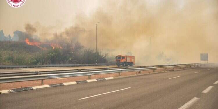 השריפה בהרי ירושלים: יישובים פונו – ישראל פנתה לסיוע בינלאומי