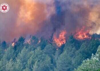 השריפות ברחבי הארץ: תפילה מיוחדת אחר הצהריים