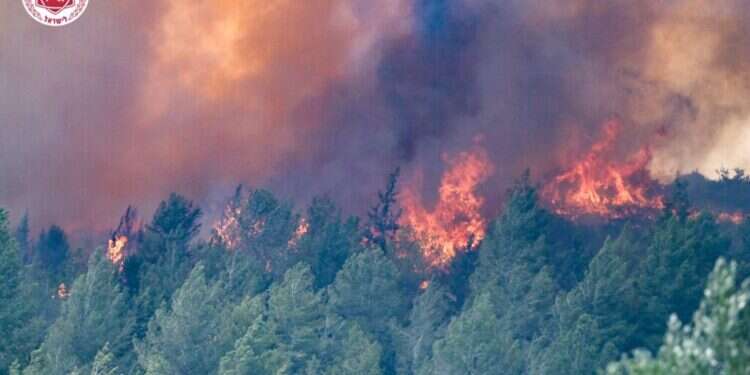 השרפות באזור לטרון. צילום: כבאות והצלה לישראל השריפות ברחבי הארץ: תפילה מיוחדת אחר הצהריים