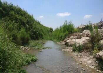 שימו בגד-ים: 10 המעיינות הכי שווים בארץ