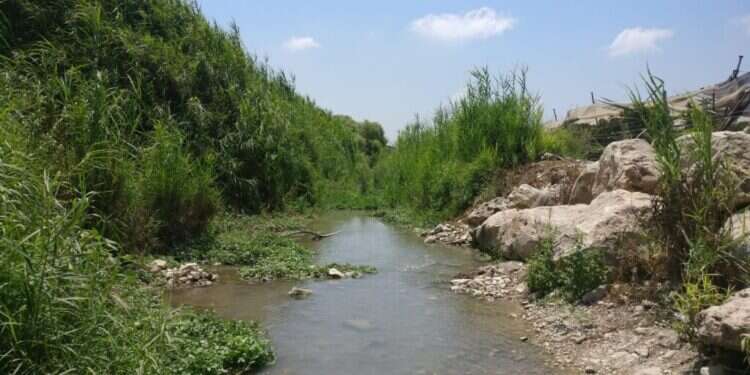 עין אביאל. קרדיט: צ'ק אין אאוט שימו בגד-ים: 10 המעיינות הכי שווים בארץ