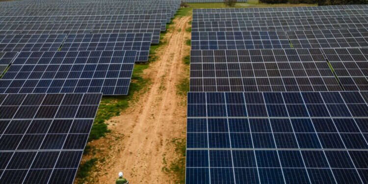 שדה סולארי בספרד. צילום: ANGEL GARCIA /Bloomberg הבעיה באירופה: יותר מדי חשמל נקי וזול