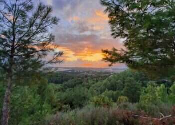 פיקניק, טבע והיסטוריה: 6 מקומות מושלמים לבילוי ביום העצמאות