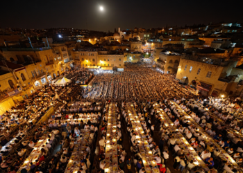 קורבן פסח: כך תצלו אותו נכון