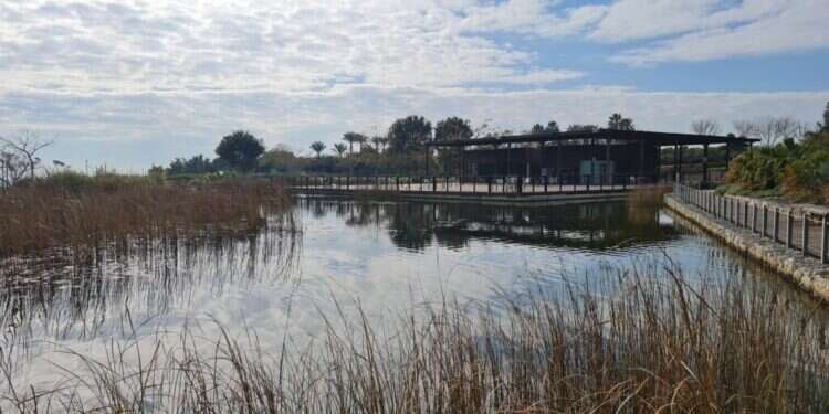 פארק אריאל שרון. צילום: צ'ק אין אאוט עסקת חבילה: עגלות קפה כשרות לחג ואטרקציות בסביבה