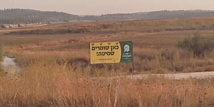 מהזדמנות לתיקון חברתי ורוחני הפכה השמיטה לאיום דתי. צילום: אביגיל זית הדרך לתרגם את ההלכה לעולם הצרכנות של זמננו