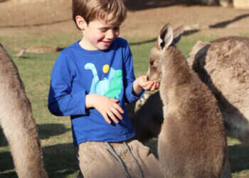מה עושים עם הילדים? כל האטרקציות בפסח 2025