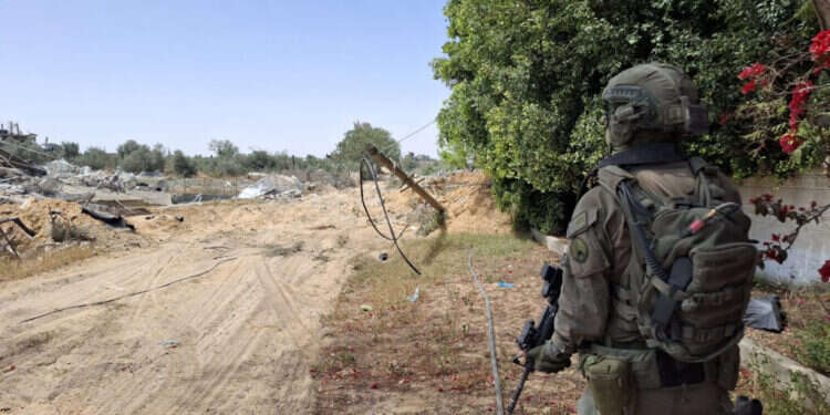 ציר מורג. צילום: אלישיב רייכנר ציר מורג. צילום: אלישיב רייכנר