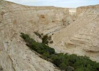 שדרות, מצדה ומכתש רמון: המסלולים המומלצים בדרום